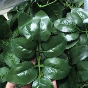 Bông nhựa + lá hoa hồng