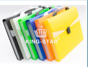 Cặp 12 ngăn thun kiểu A4