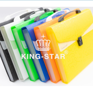 Cặp 12 ngăn thun kiểu A4