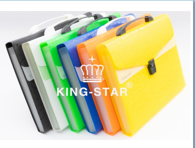 Cặp 12 ngăn thun kiểu A4